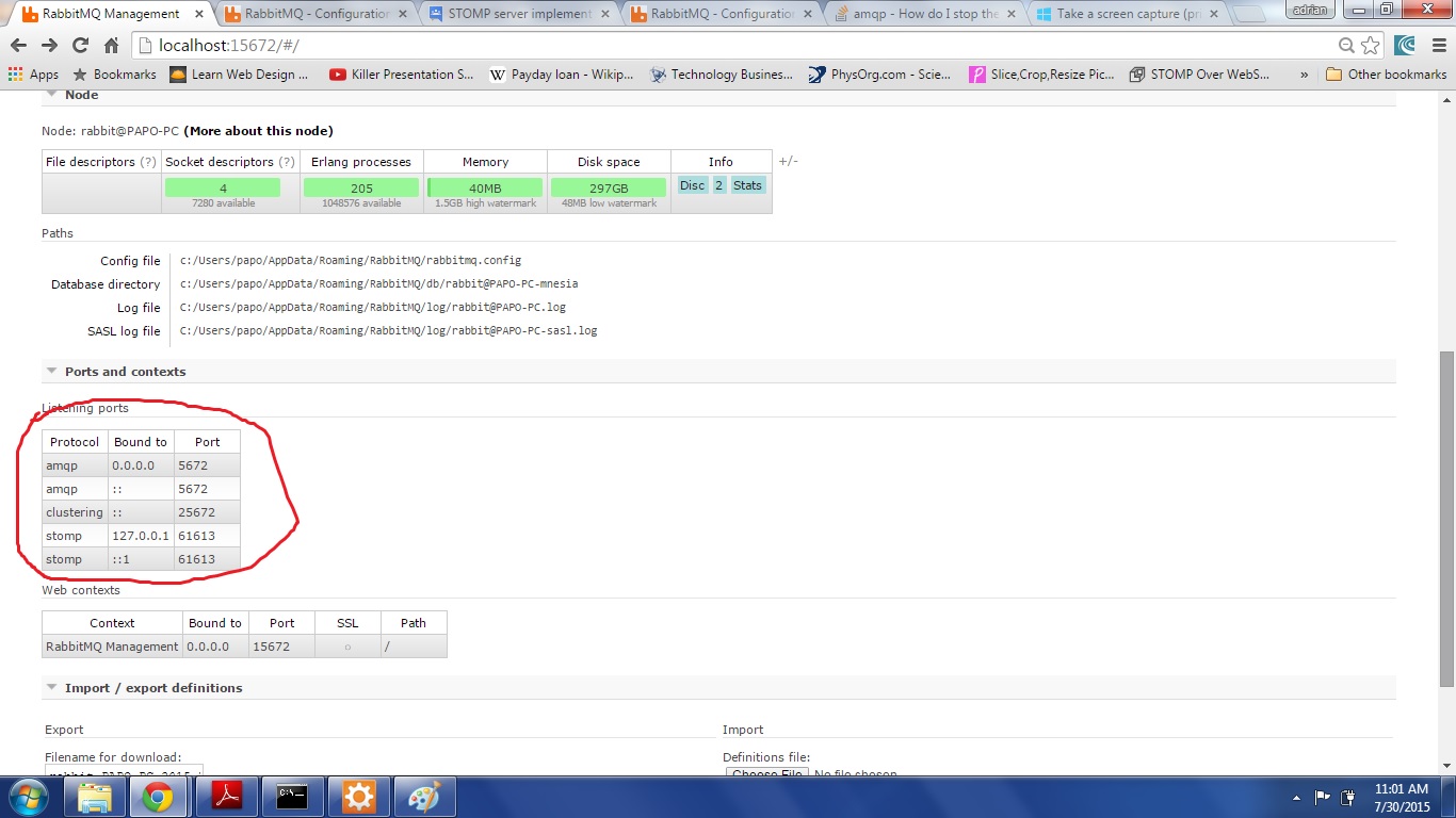 rabbitmq is not listening to localhost Stack Overflow