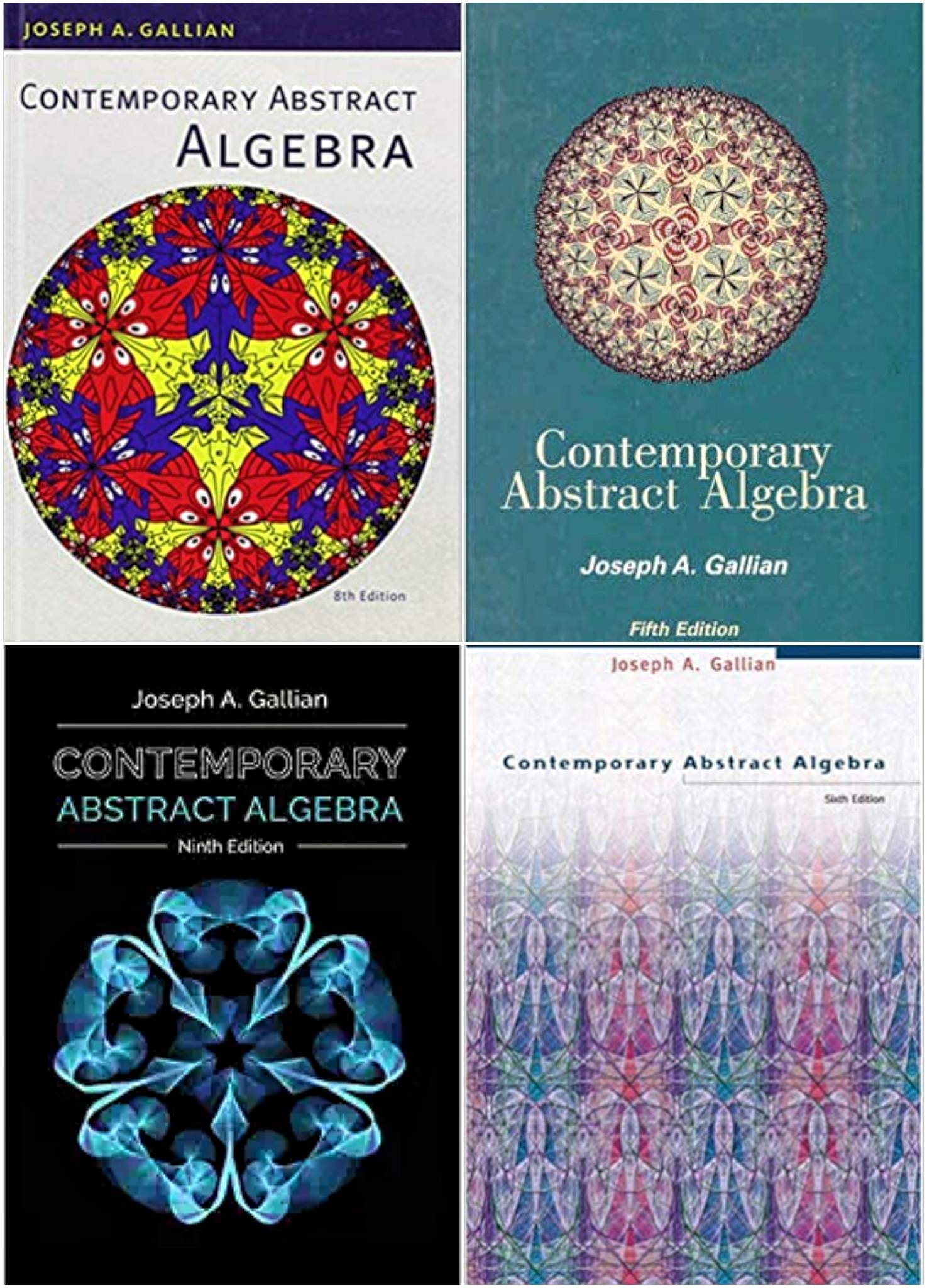 Contemporary Abstract Algebra: Gallian, Joseph A