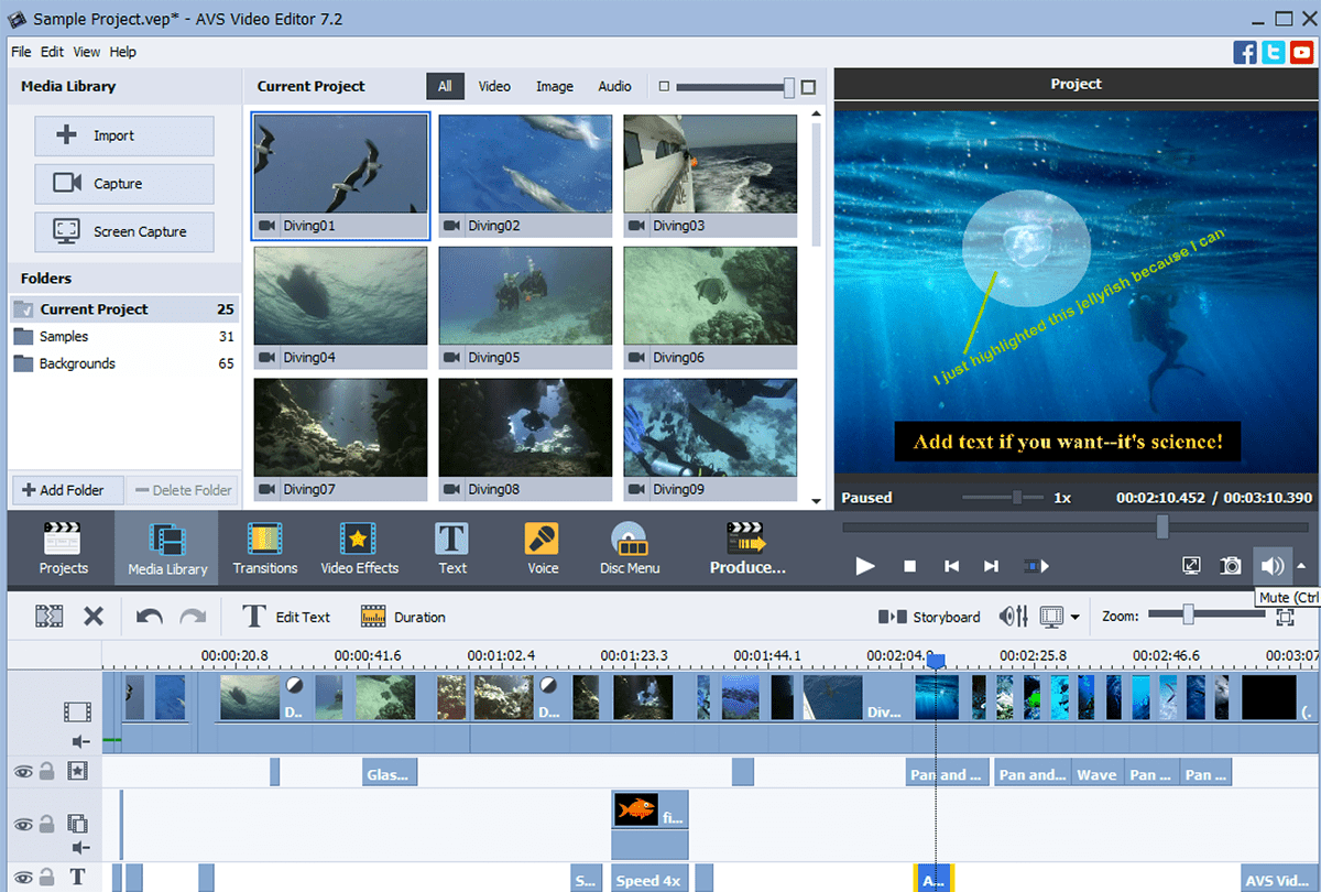 Simple video annotation software that allows drawing in frames (Windows
