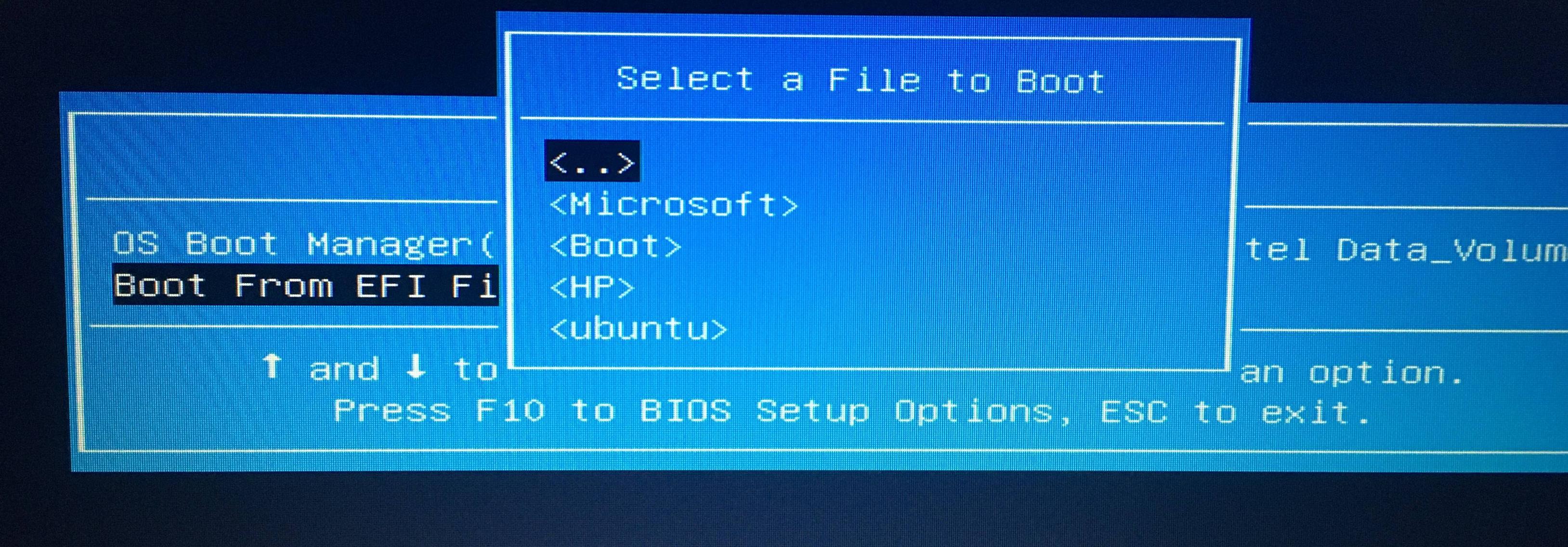 partitioning Cannot dual boot Ubuntu/Windows 10 on HP laptop Ask Ubuntu