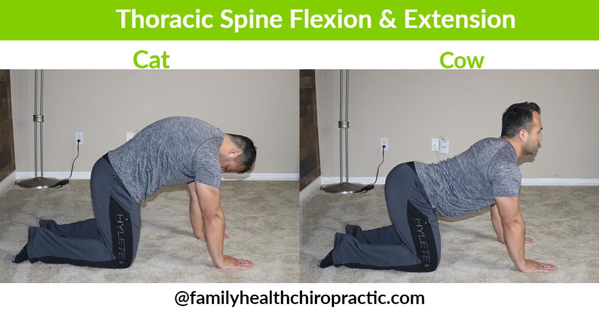 How does back extension work? Q&A Answertion