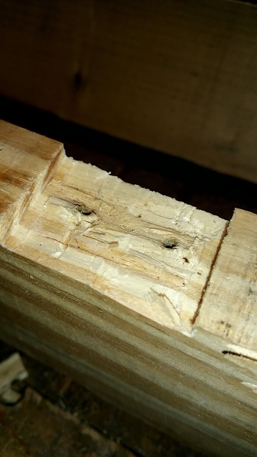 How to remove nails with heads cut off Love & Improve Life