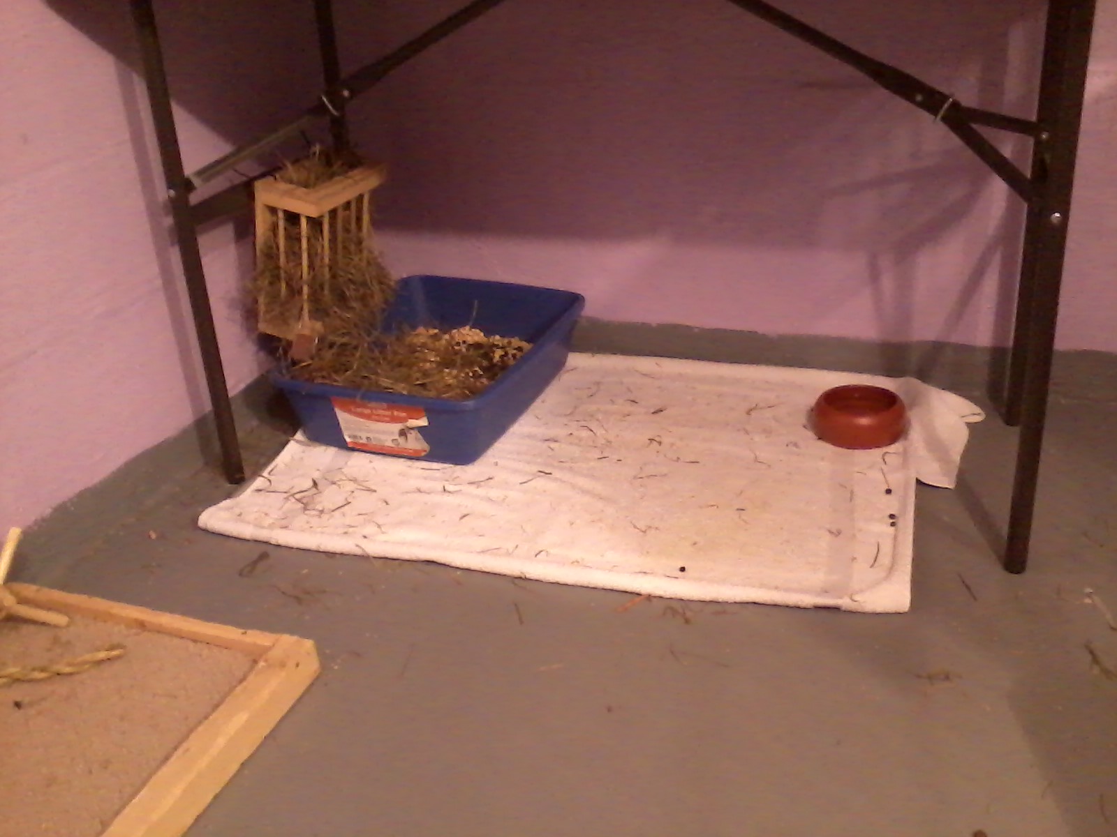 toilet training Cats making a mess with litter Pets Stack Exchange