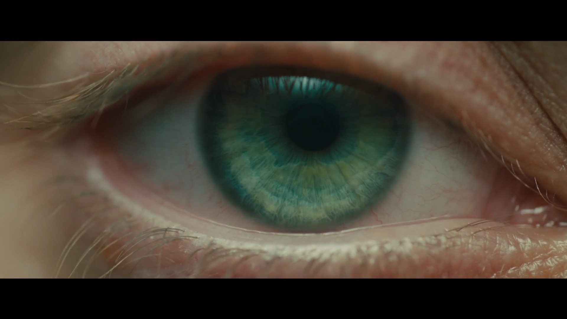 In Blade Runner 2049, whose eye opened in the first shot? Movies & TV