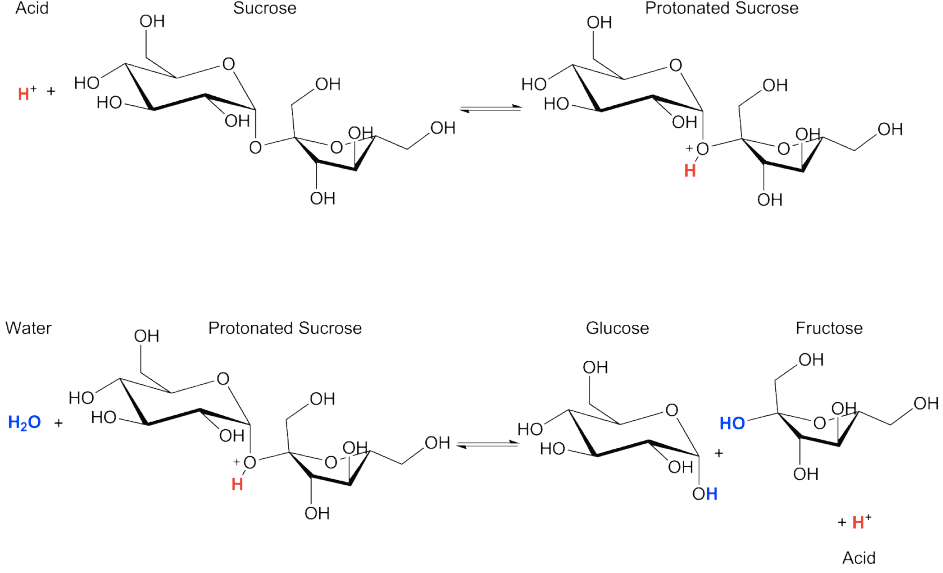 organic chemistry Why is HCl used in hydrolysis of sucrose