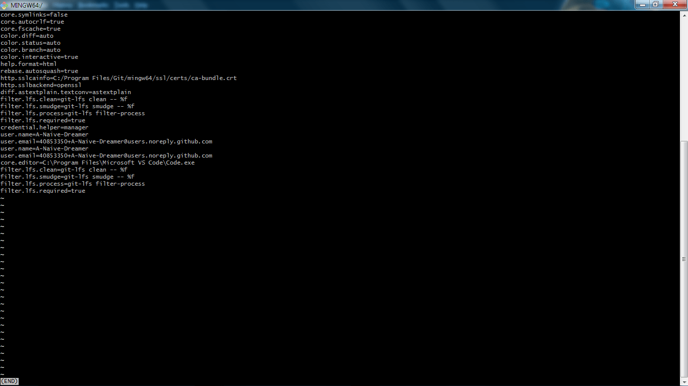 github Git for Windows can't run any commands after command git