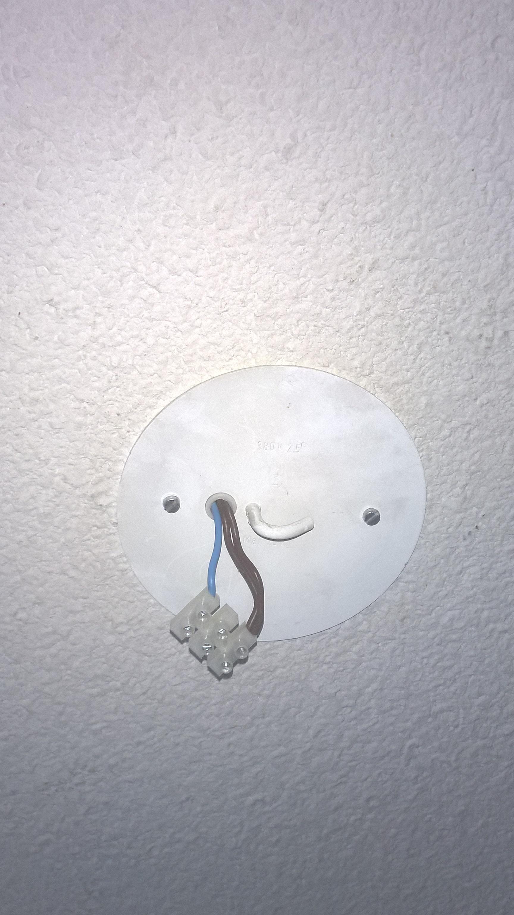 electrical How to connect lamp to ceiling wiring (EU)? Home
