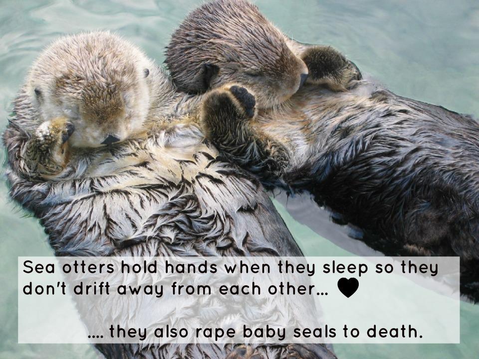 zoology Do sea otters rape baby seals to death? Skeptics Stack Exchange