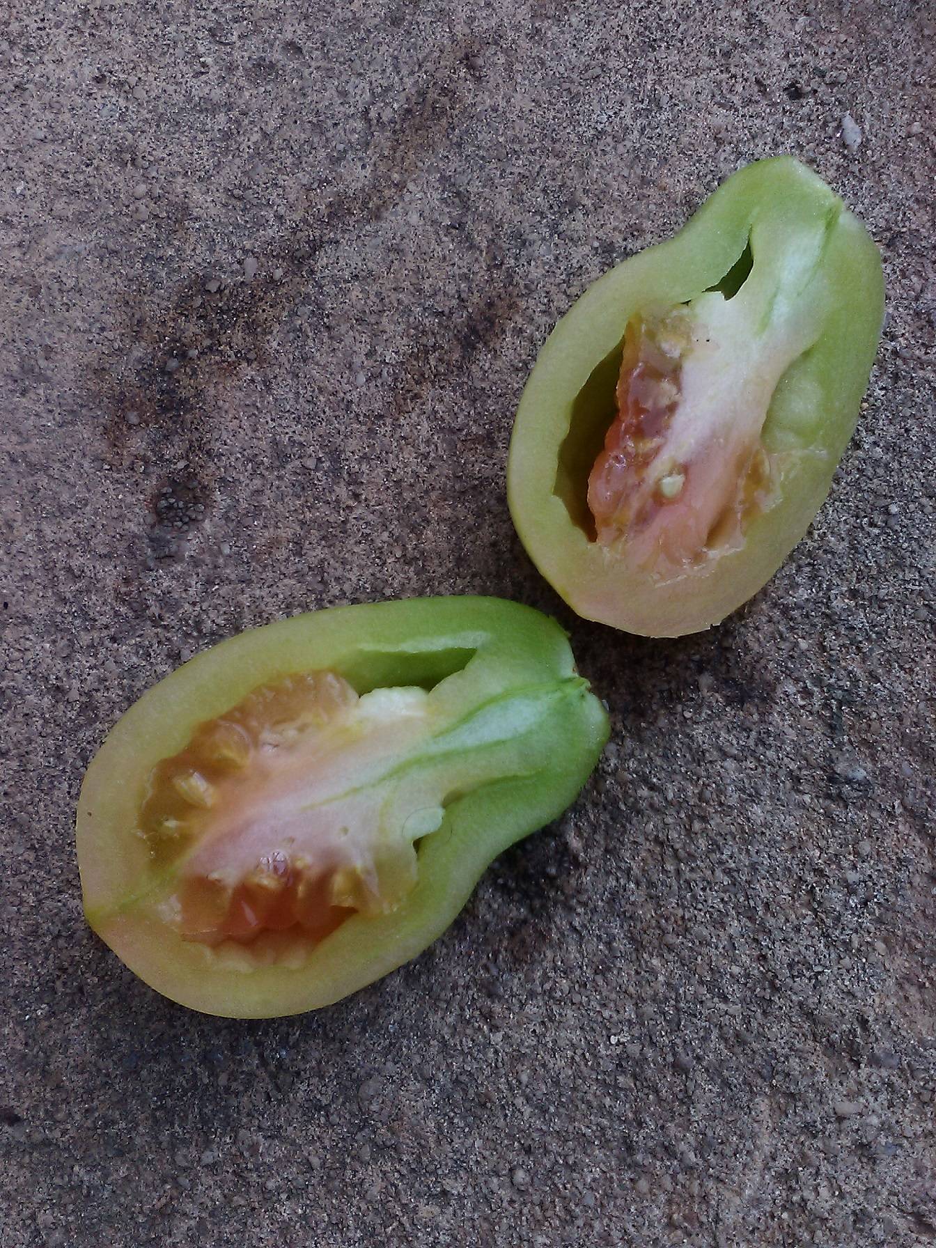 diagnosis Why do I have brown "jelly" and rotten smell inside my