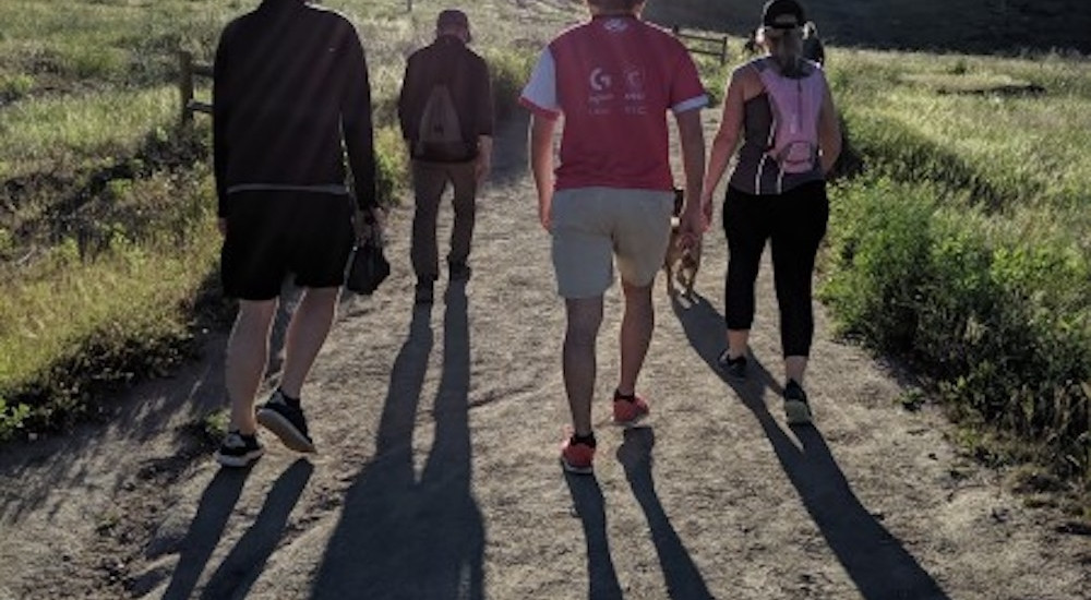 Jelli Jobs & Careers Stack Overflow