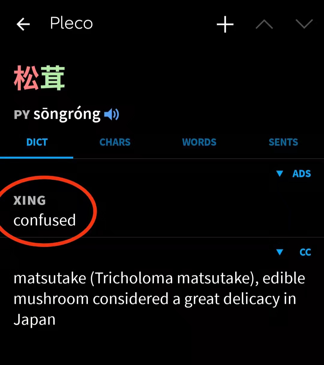 notation What does 'xing' in adsotrans dictionary mean? Chinese