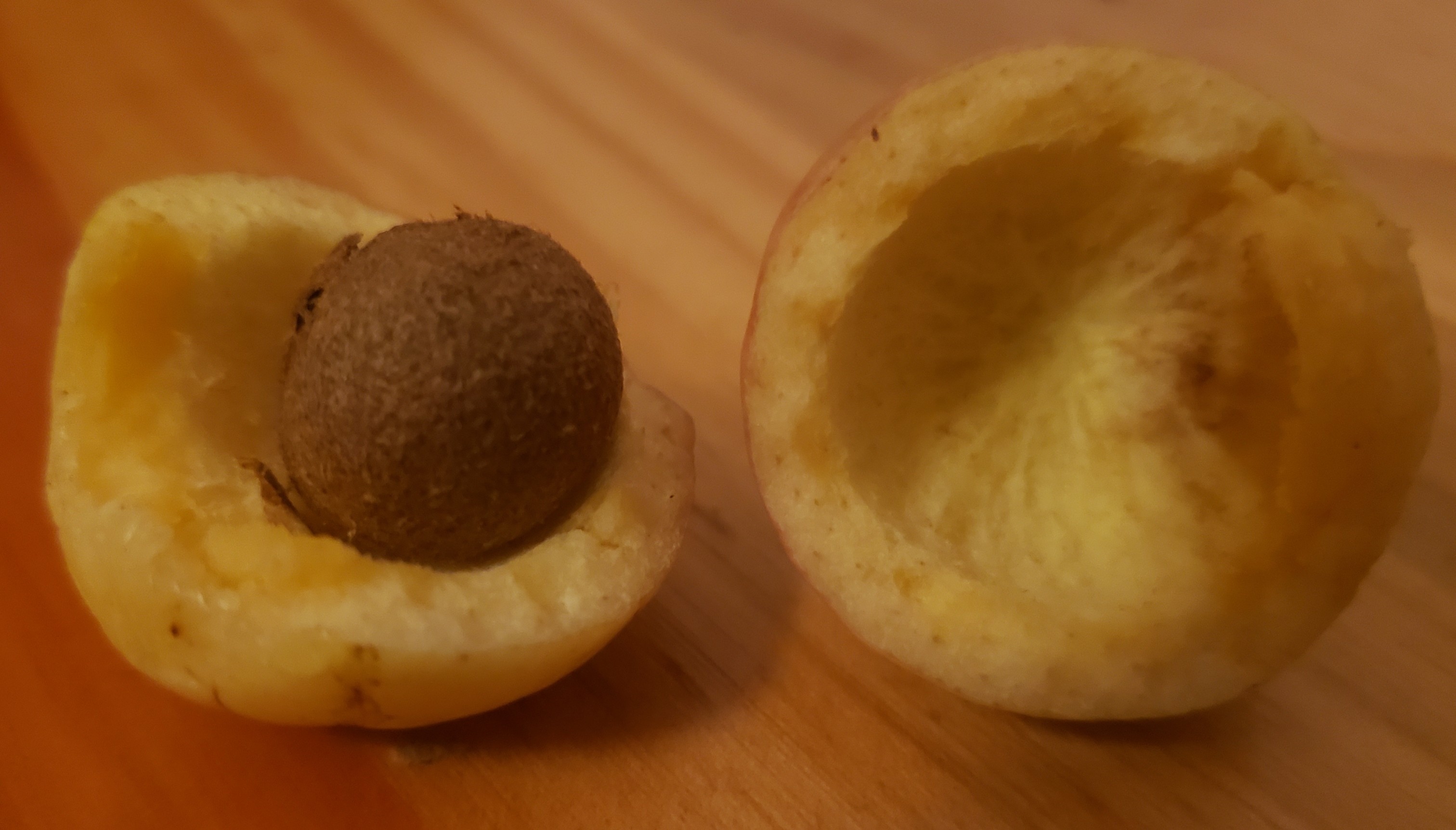 species identification What is this fruit (round, 3 cm diameter