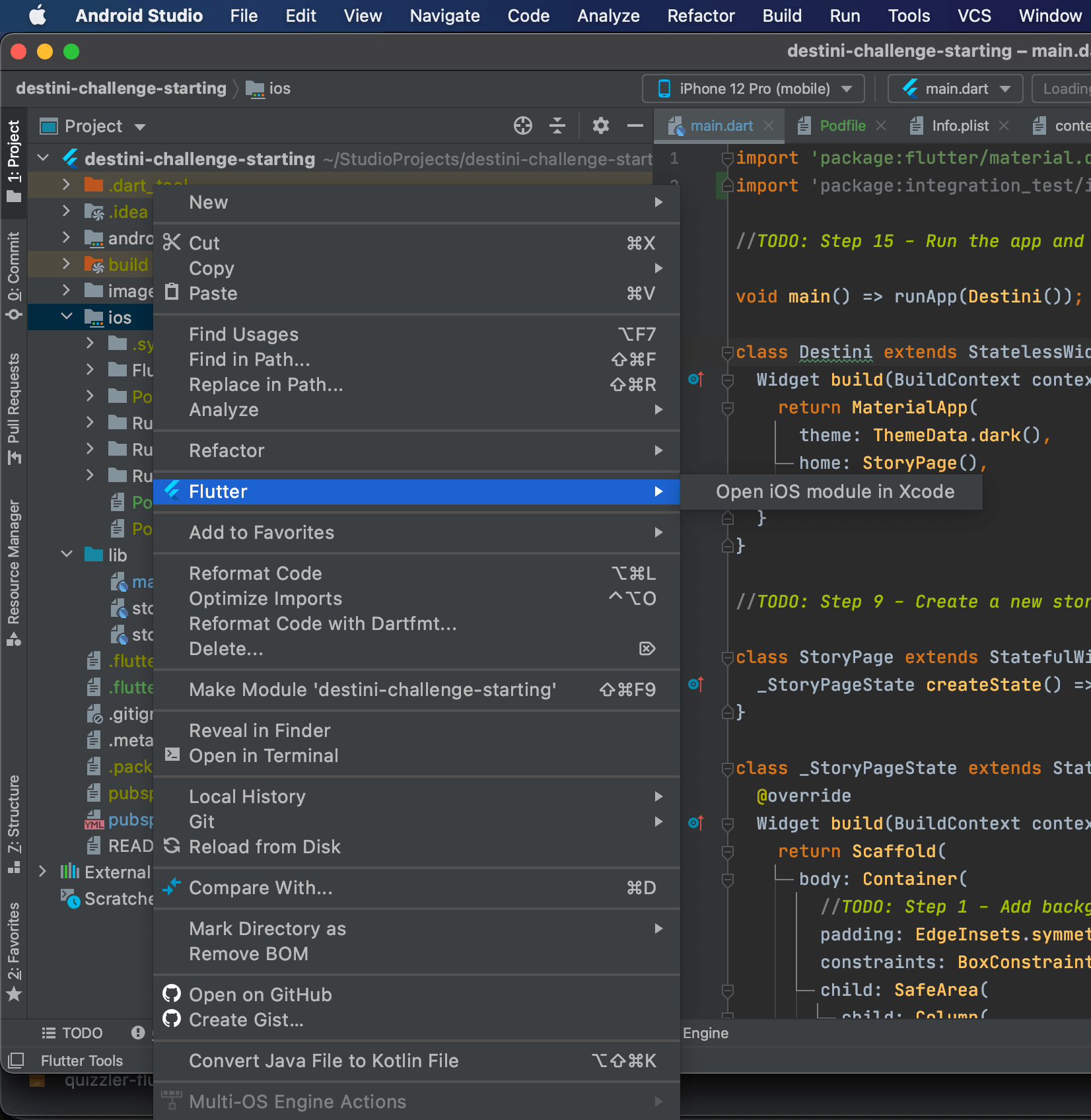 Flutter integration tests for iOS on Firebase? Stack Overflow