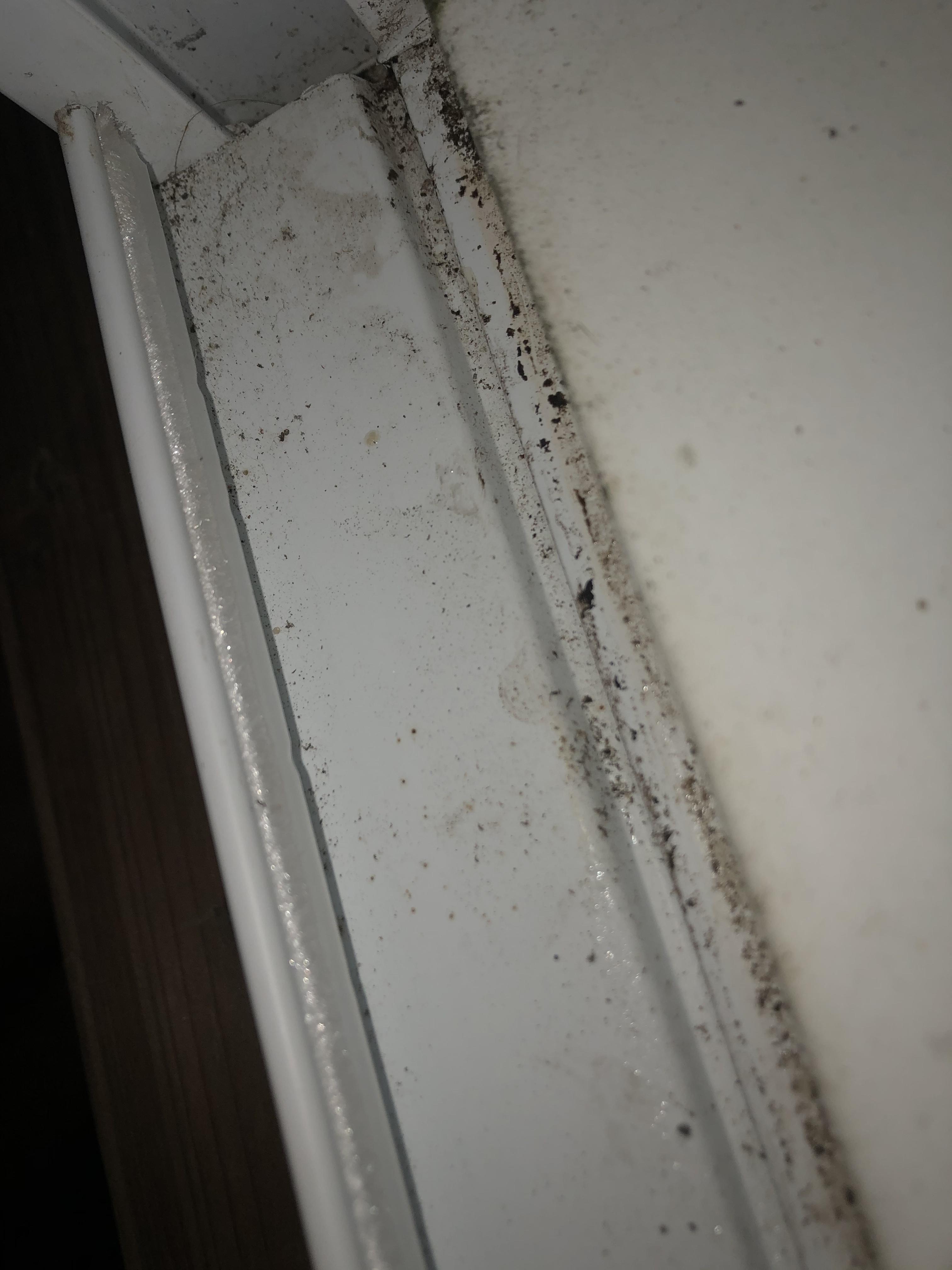 Water How to remove window sill stop block on doublehung vinyl