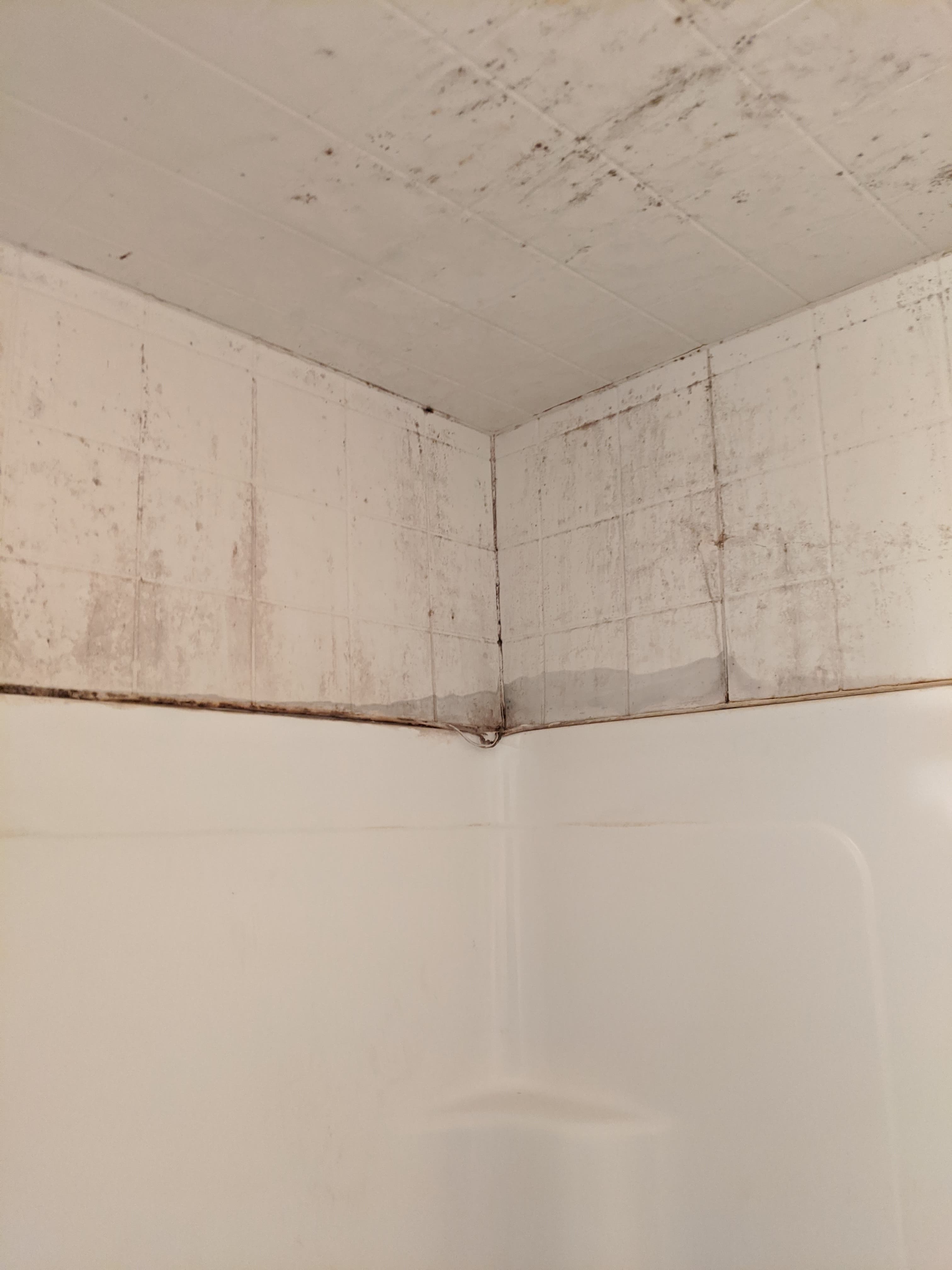 How to remove/prevent mold from forming in bathroom Home Improvement