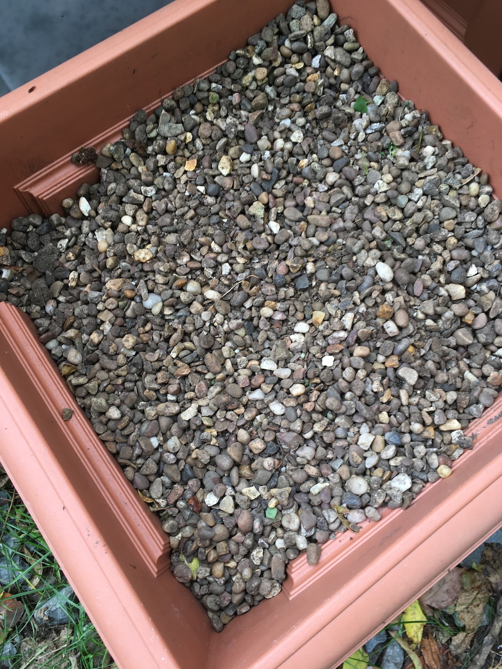 Can I improve claylike soil with little stones? Gardening