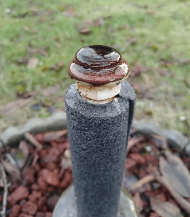 Outdoor spigot broken pipe on my backyard. Can I just add a cap on the