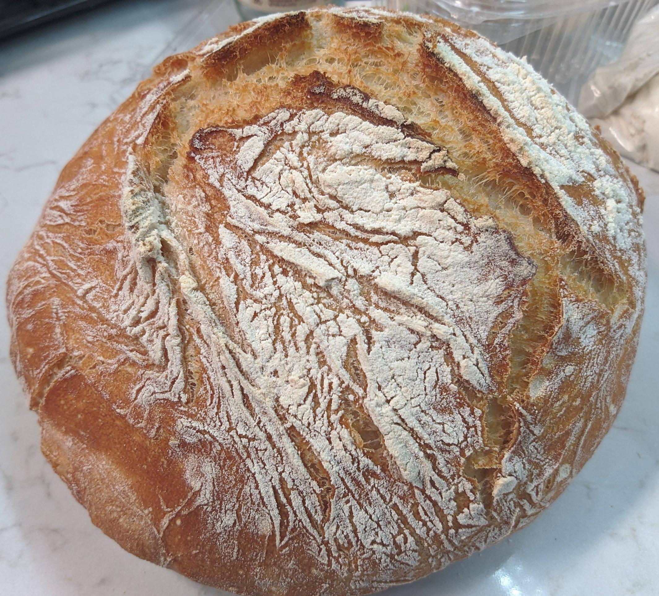 fermentation Why is my white bread with poolish dough