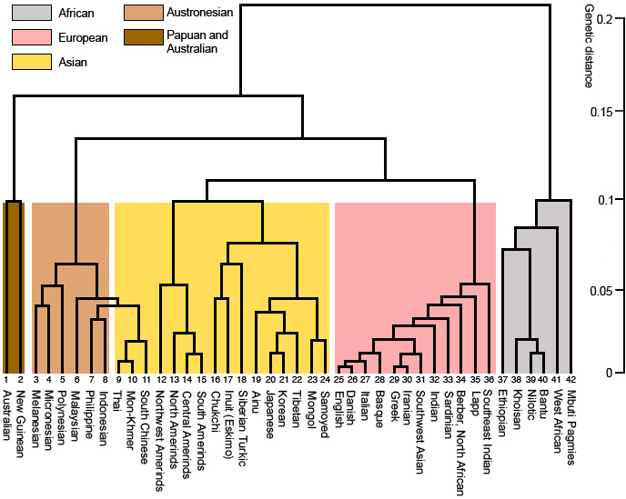 population Do humans have enough biological differences to