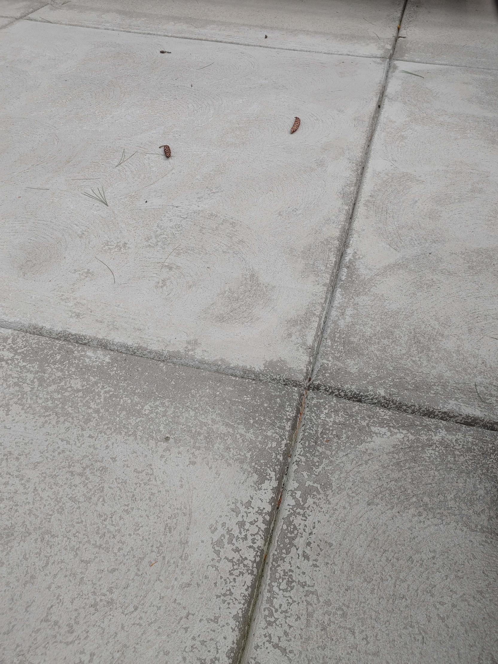How To Remove Rug Stain/Discoloration on Concrete Patio Home