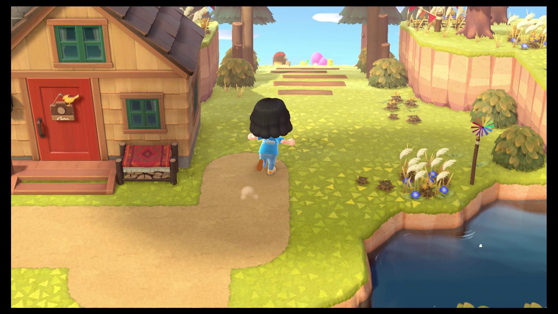 animal crossing new horizons How do you unlock the coop with other