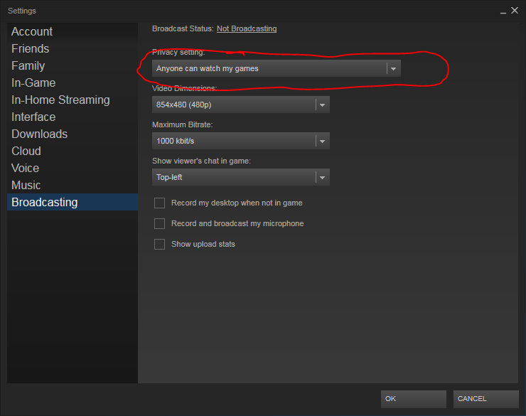 streaming How do I start a public stream with Steam Broadcasting