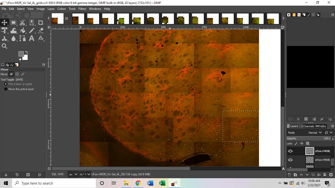 Can you match color levels of semioverlapping layers in GIMP using a