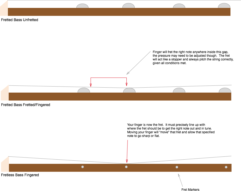 technique What is the correct way to use your left hand on a fretless