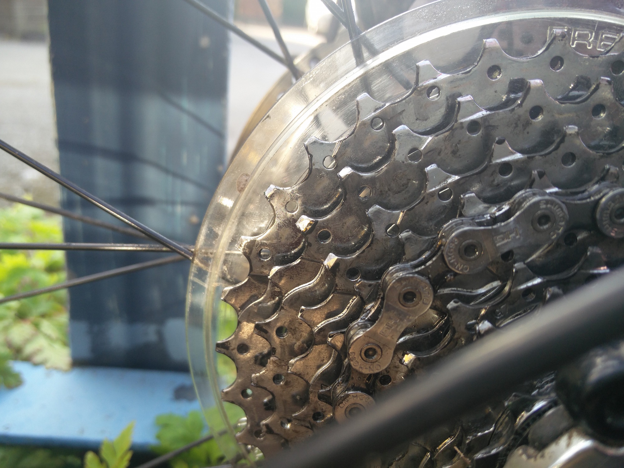 I cleaned my cassette and changed my chain, now my freehub is slipping. What are the possible
