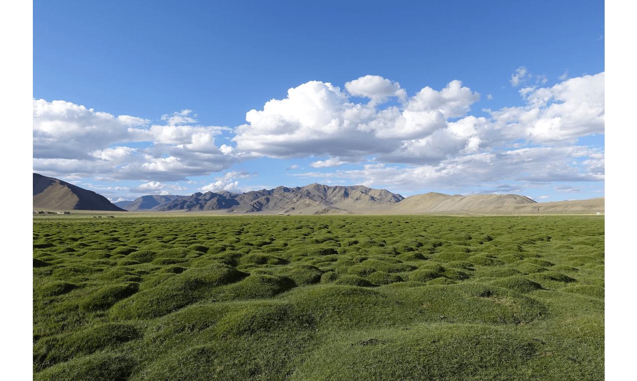 image stitching python Your Personalized AI Assistant.