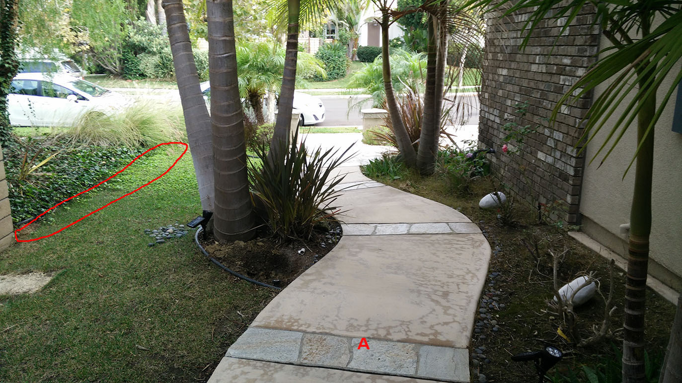 for plants next to front walkway Gardening & Landscaping Stack Exchange