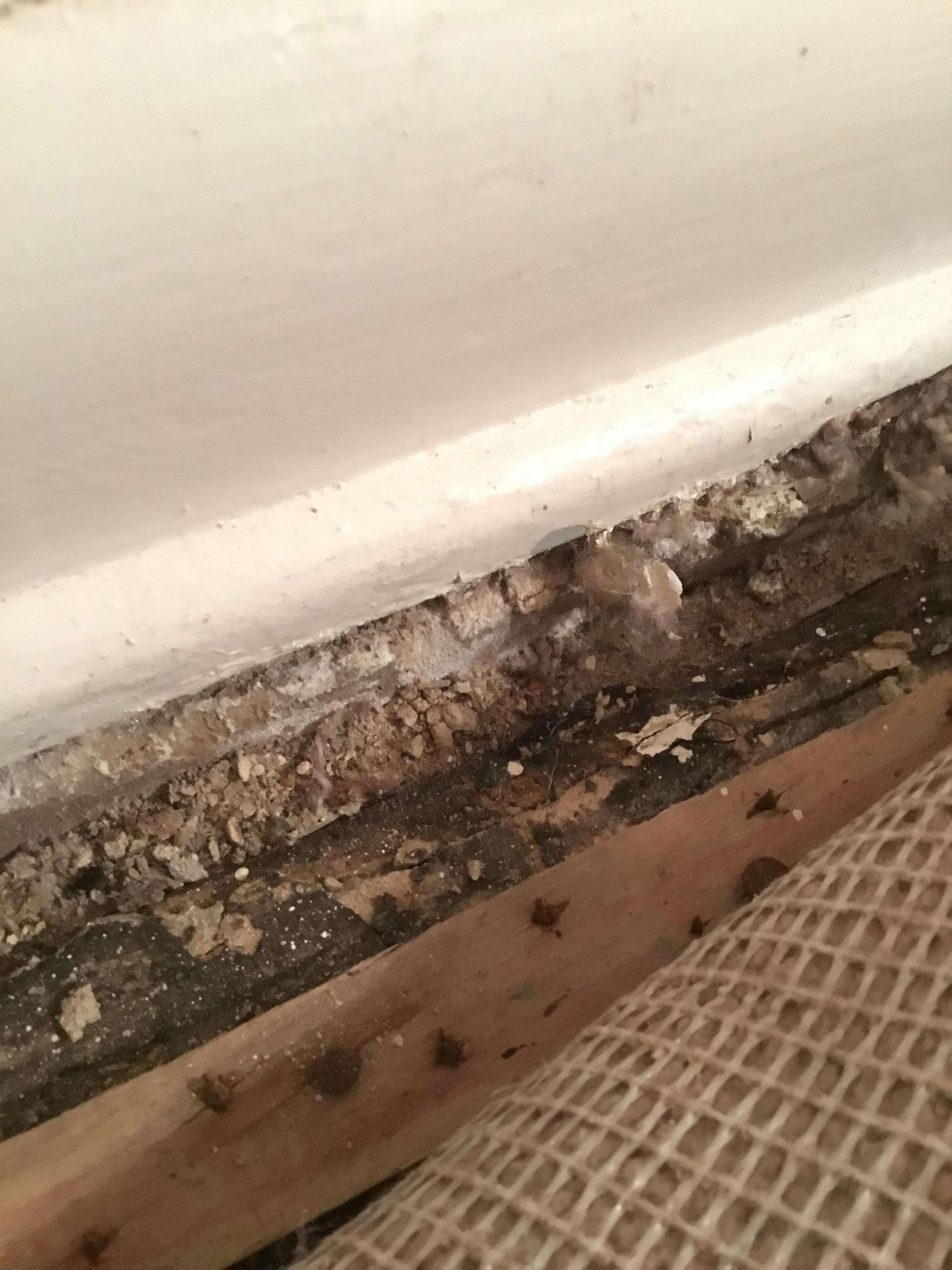 why is there a gap between the carpet tack strip and the wall? Home