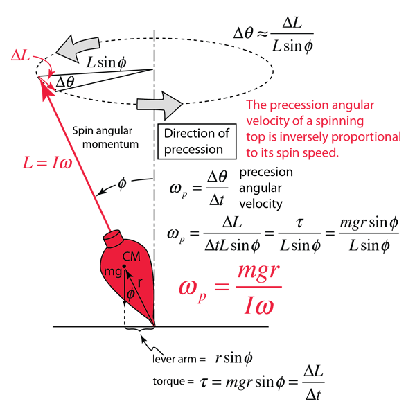 newtonian mechanics What is the rate at which a precessing top falls
