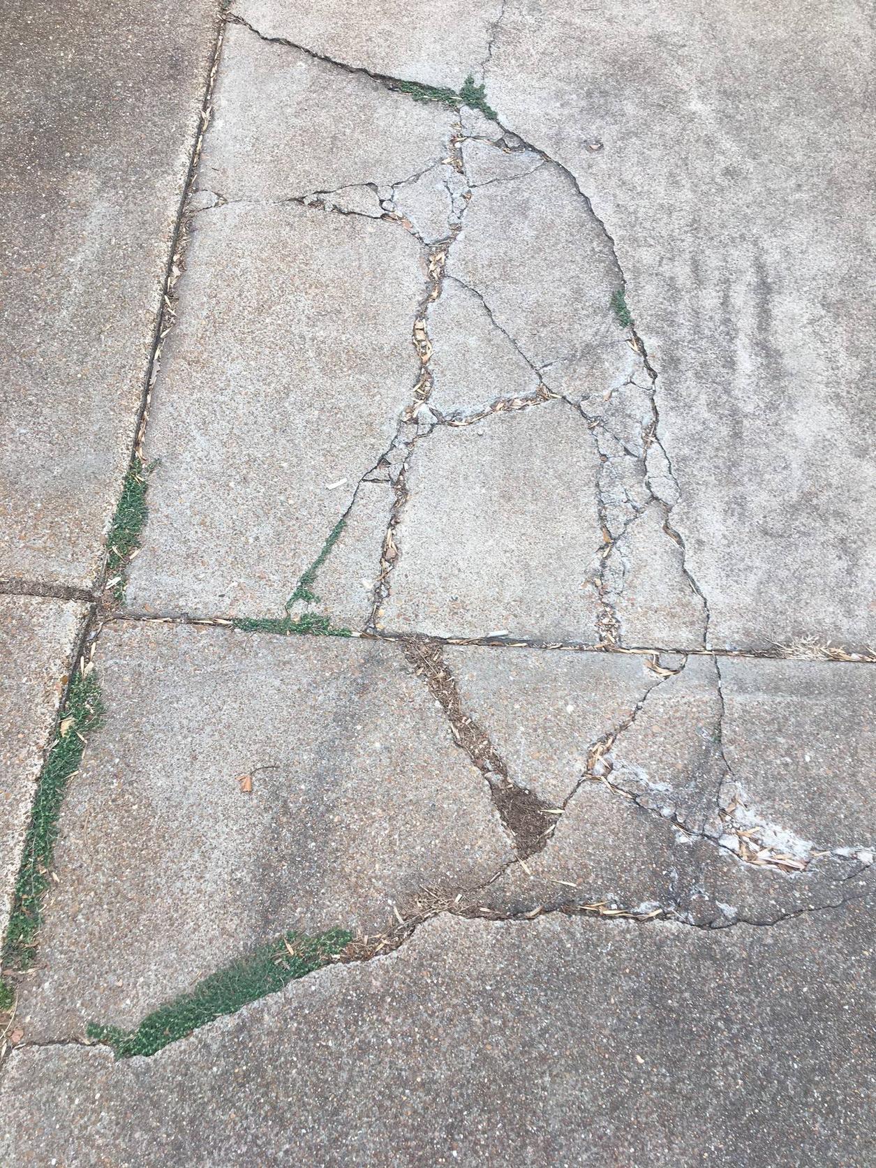 concrete Best product/method to repair pictured cracks in driveway