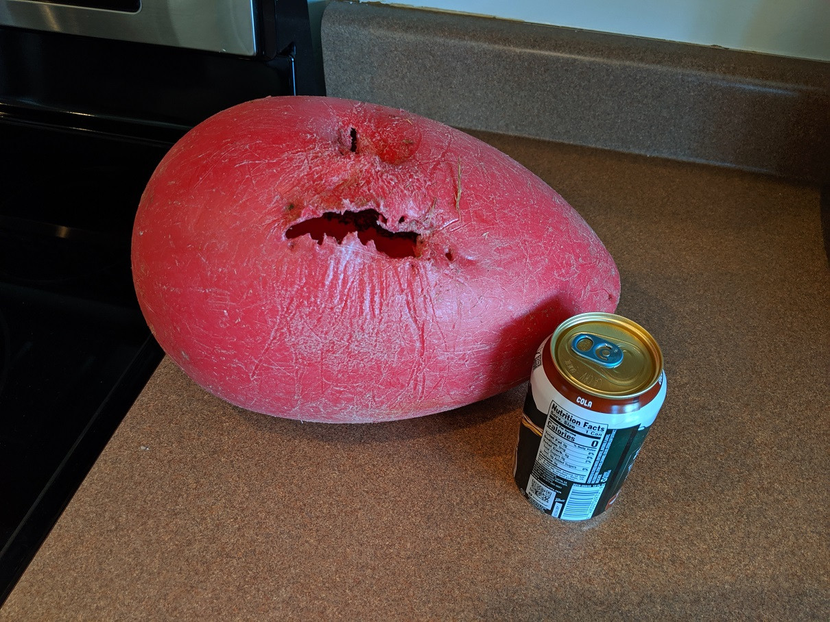 Is there a toy that my dog can't destroy? Pets Stack Exchange