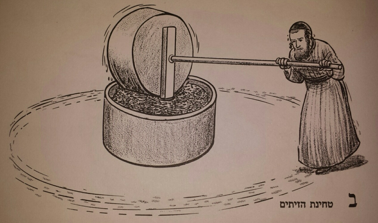 technology What does an olive press look like? Mi Yodeya