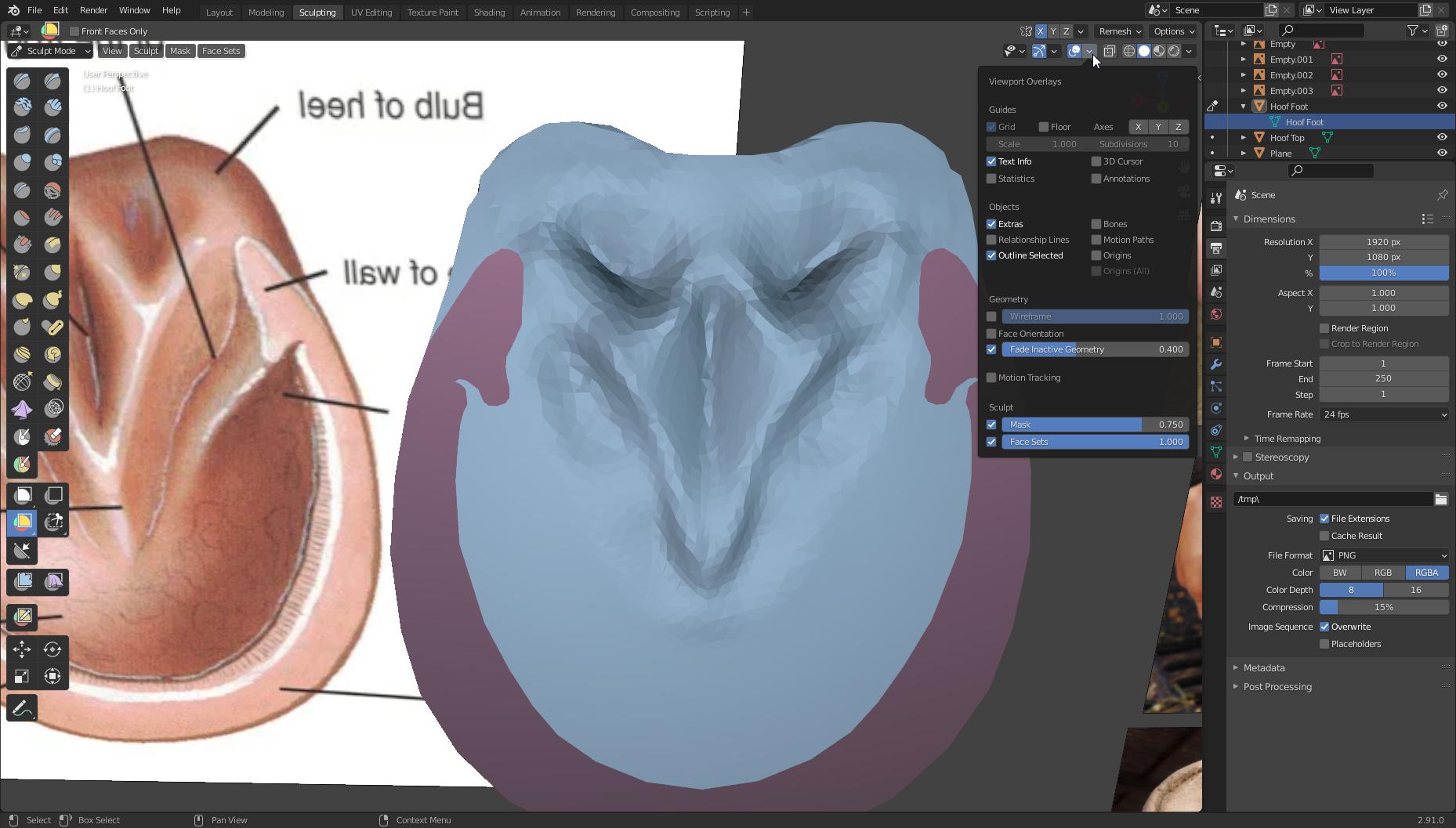 sculpting Face set colors not showing in sculpt mode despite trying