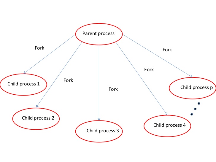 c++ How to create parallel child processes using fork Stack Overflow