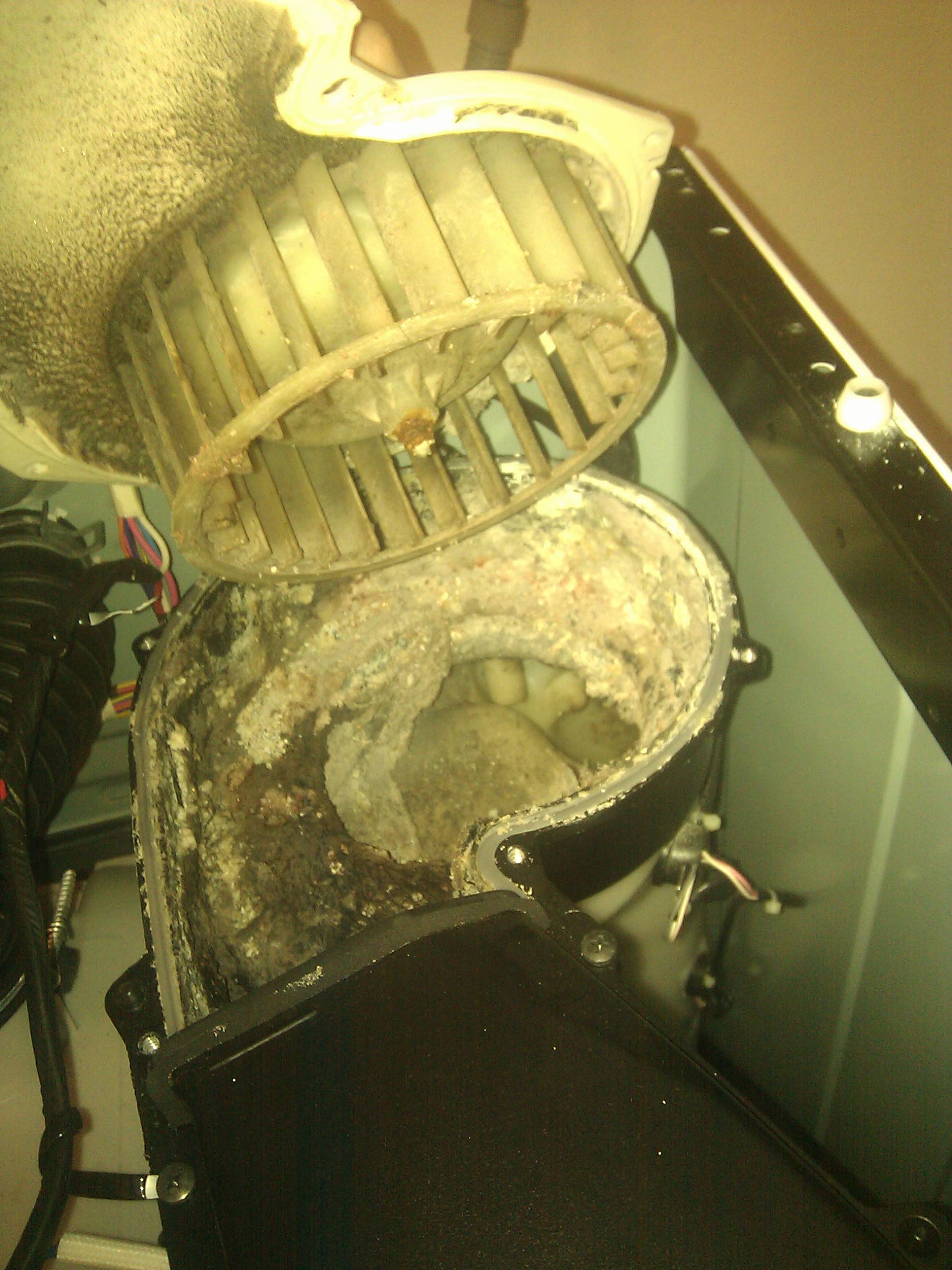 repair Would this buildup cause "dHE" error on an LG Tromm dryer