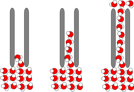 thermodynamics How does a canvas water bag cool water? Physics
