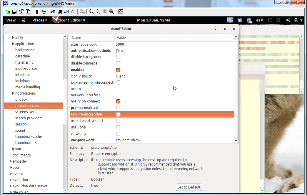 Gnome 3.10 sharing desktop how to configure the security type for