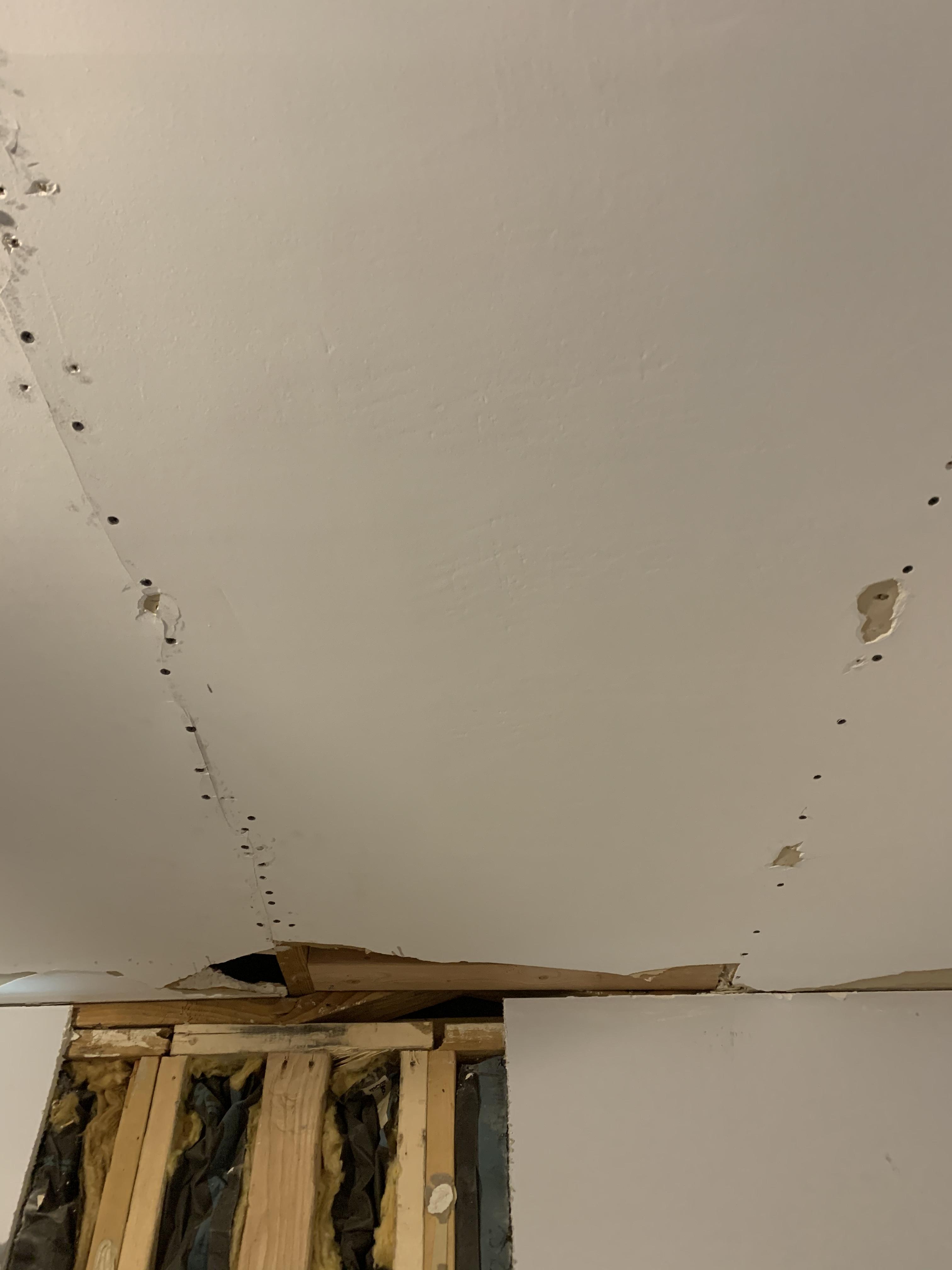 What is required to fix this plastered drywall ceiling? Home