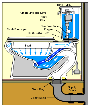 Diagram Of A Toilet Bowl