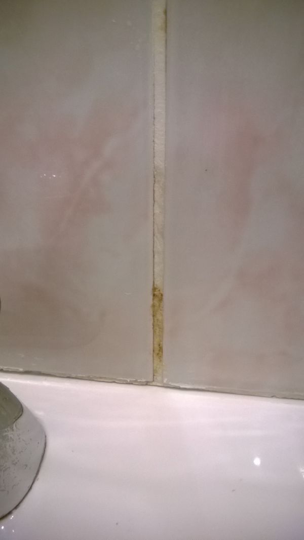 bathroom Where could water be coming from inside the joint between bathtub and wall tiles
