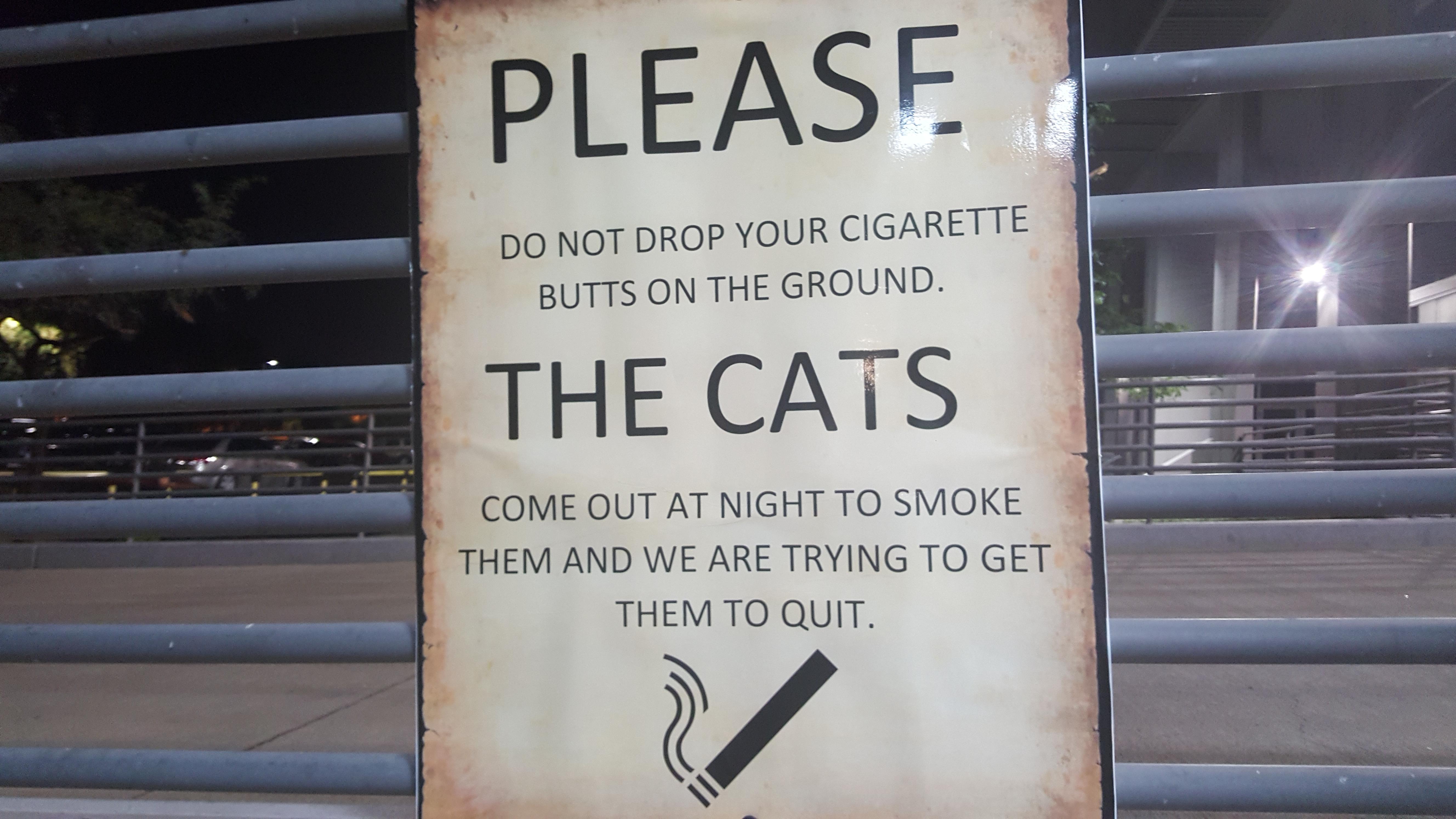 Smoking cats