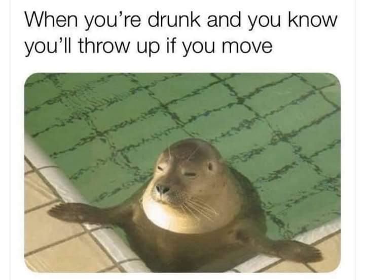 When you’re drunk and you know you’ll throw up if you move