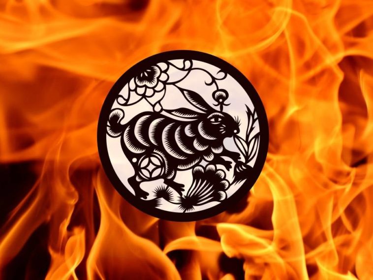 Rabbit The Delicate Chinese Zodiac Animal