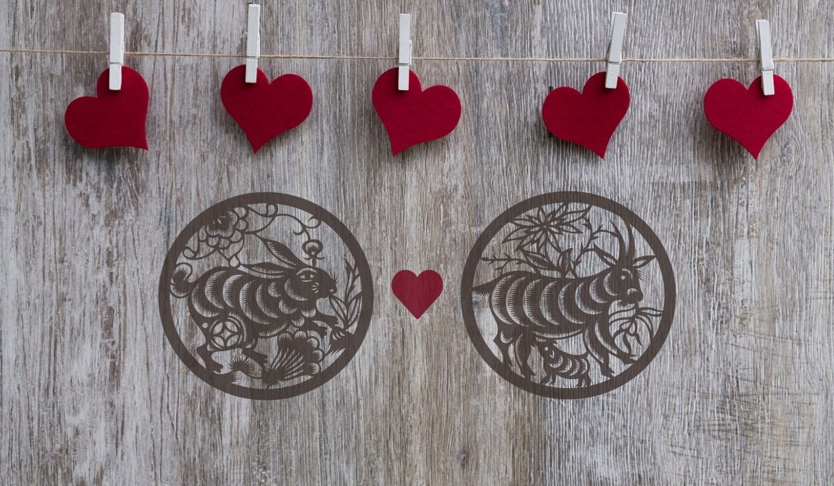 Rabbit and Goat Love Compatibility A Comfortable Relationship