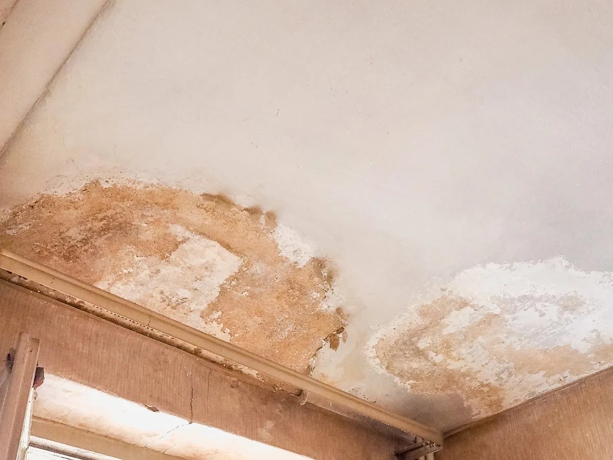 how to remove moisture and bad smell from room in rainy season