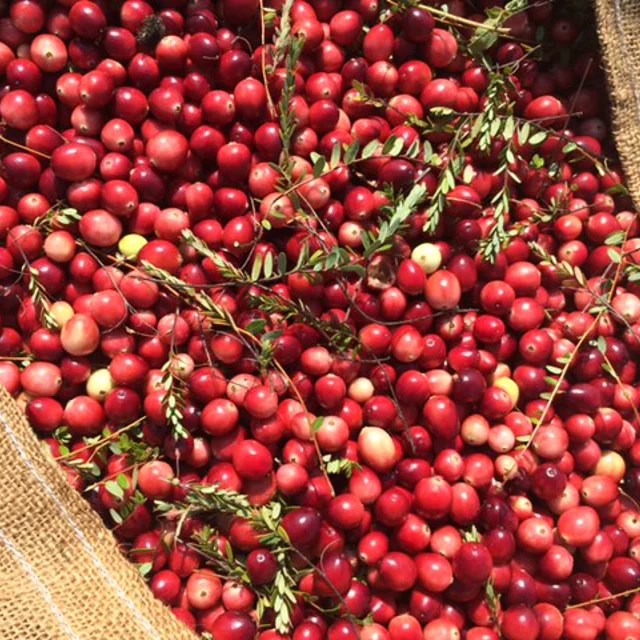 Decas Cranberry Products, Inc.